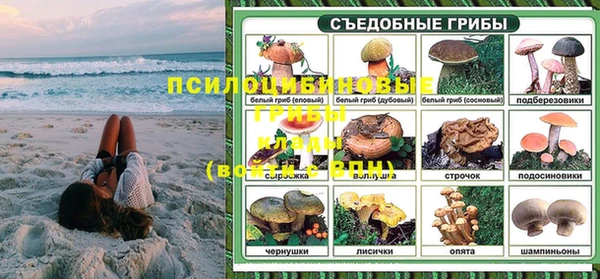 трава Кукмор