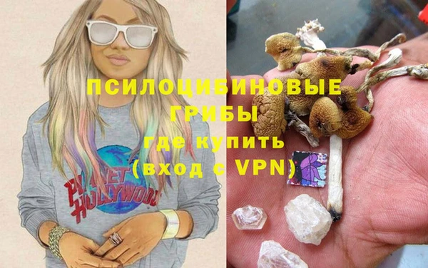 прущая мука Кулебаки