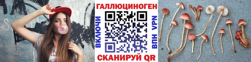 где купить наркотик  Иркутск  Псилоцибиновые грибы Psilocybine cubensis 